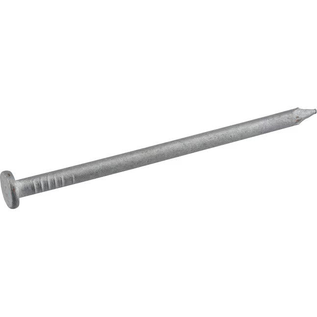Florvik 6-in 2-Gauge Hot-Dipped Galvanized Smooth Shank Common Nails – 1 Piece