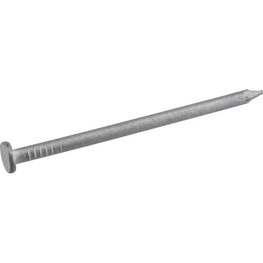Florvik 6-in 2-Gauge Hot-Dipped Galvanized Smooth Shank Common Nails – 1 Piece